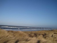 Sylt