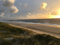 Sylt neu 2