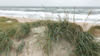 Sylt neu 3